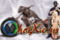 shini1989's Avatar