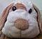 linuxe8's Avatar
