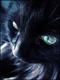 TND's Avatar