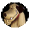 Grey_cloud's Avatar