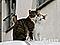 WuYuHuang's Avatar