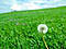 the_sun_1_6's Avatar