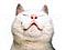 chuoitaykohot's Avatar