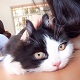 iso's Avatar
