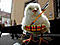 gacon2201's Avatar