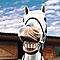 Hanh_Lac's Avatar