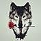 nhoc1717's Avatar