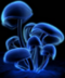 Black_Hole1988's Avatar