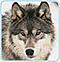 Alexander_Kent's Avatar