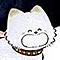Salaren's Avatar