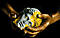 Midas Huynh's Avatar