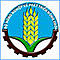 [w]ind's Avatar
