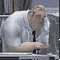 Mr.Cigar's Avatar