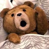 rotminh.void's Profile Picture