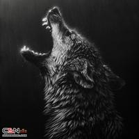 ball25's Profile Picture