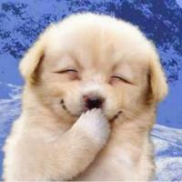 nhochaimuoi's Profile Picture