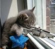 voz8x's Profile Picture
