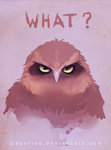 dungcoivb's Profile Picture