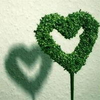 bboyz269's Profile Picture