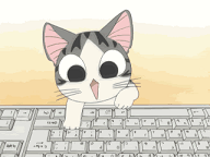 mieomeo's Profile Picture
