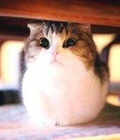 tkancket97's Profile Picture