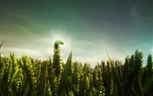 Nguyen_Thu's Profile Picture