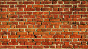 sacnuoc's Profile Picture