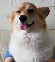 xteamvndotcom's Profile Picture