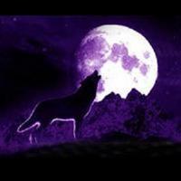 Viic's Profile Picture