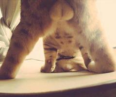 heinz's Profile Picture