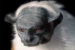 vokycacab's Profile Picture