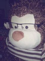 TnO4ever's Profile Picture