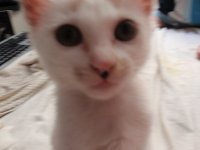 ConGheVn's Profile Picture