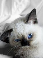 jollie31291's Profile Picture