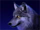 Darkness007's Profile Picture