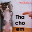 lehainighe's Profile Picture