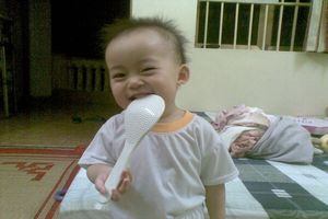 solaris's Profile Picture