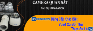 anhlecong's Profile Picture