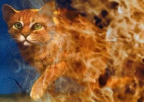 iadneyugn's Profile Picture