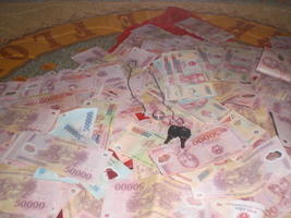 quangviet66's Profile Picture