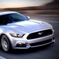kent.71093's Profile Picture