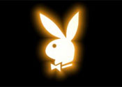 kisimita's Profile Picture