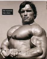 Arnold Schwarzenegger's Profile Picture