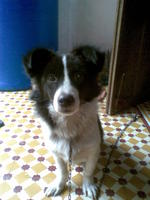 picpic1909's Profile Picture