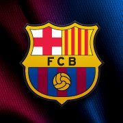 bocules's Profile Picture