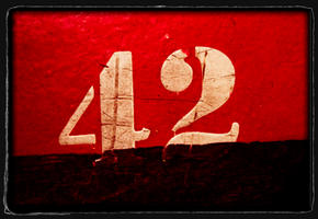 november383's Profile Picture