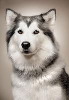 nhox_sky95's Profile Picture