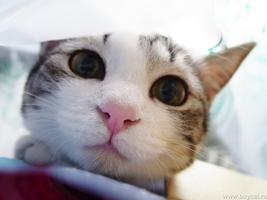 bemeoyeu's Profile Picture