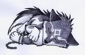 kutehp14's Profile Picture