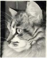 nick_tute's Profile Picture